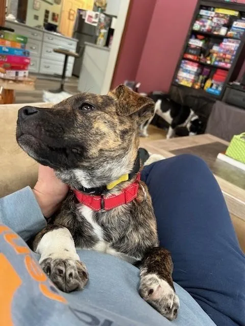 Bailey Spirits  Local thumbnail 4