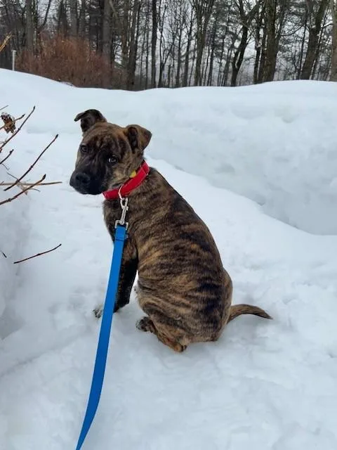 Bailey Spirits  Local thumbnail 5