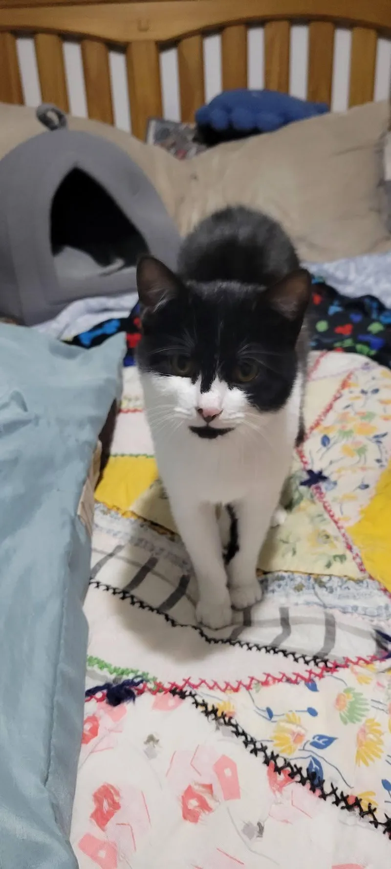 Mystique thumbnail 2