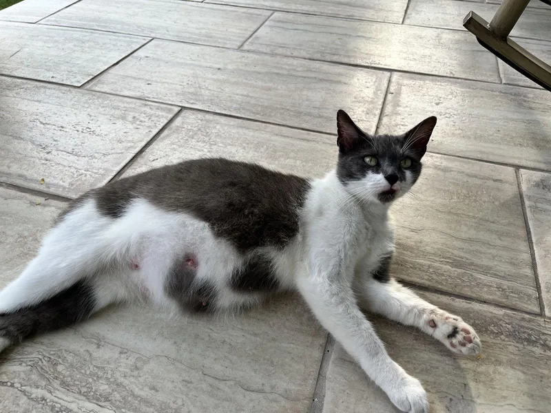 Millie C Hill thumbnail 2