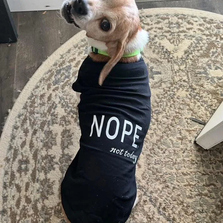 Cinnamon thumbnail 3