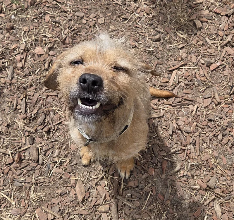 Prentiss thumbnail 2