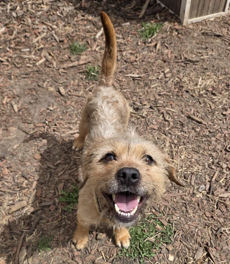 Prentiss thumbnail 3