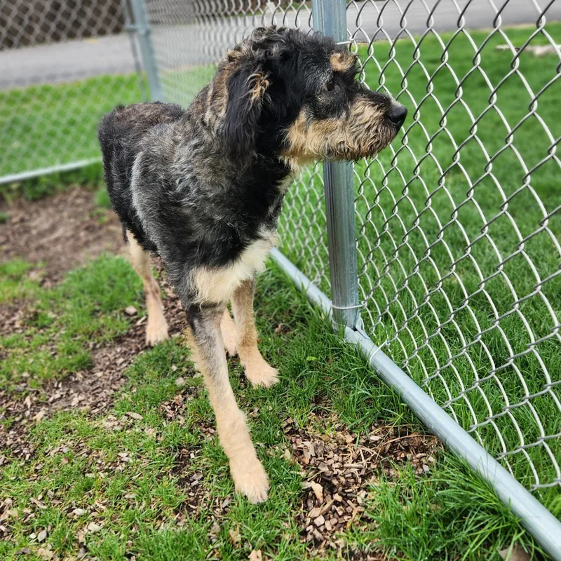 Miss Frizzle thumbnail 2