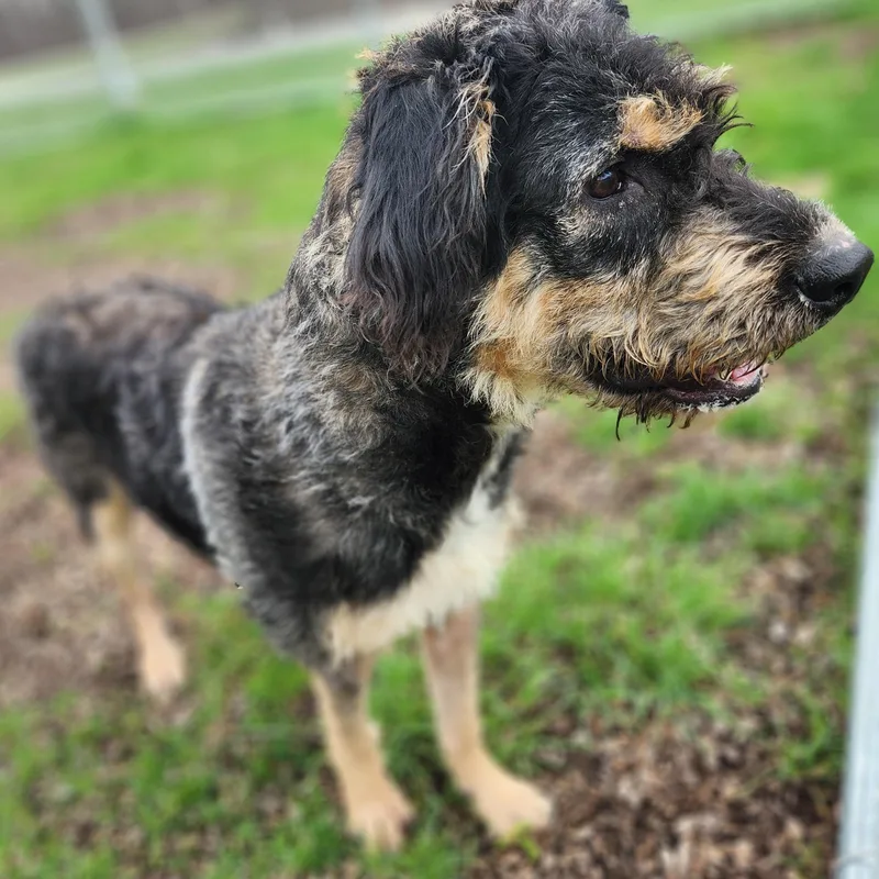 Miss Frizzle thumbnail 3