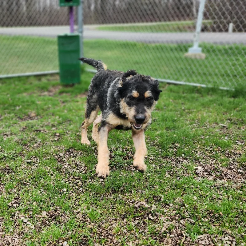 Miss Frizzle thumbnail 4