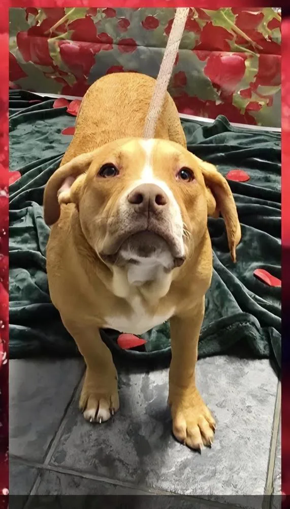 Marion Bullgles :  thumbnail 2