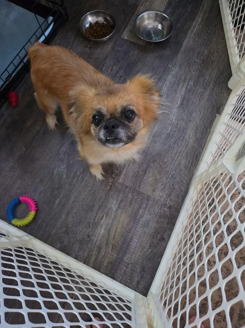 Winnie thumbnail 2