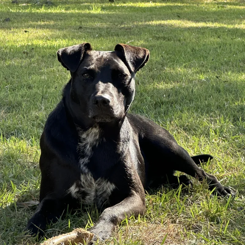 Violet The Lovergirl!!!! thumbnail 2