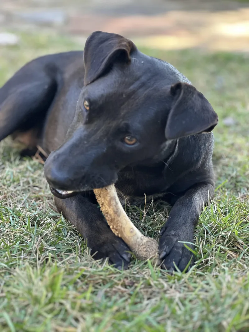 Violet The Lovergirl!!!!