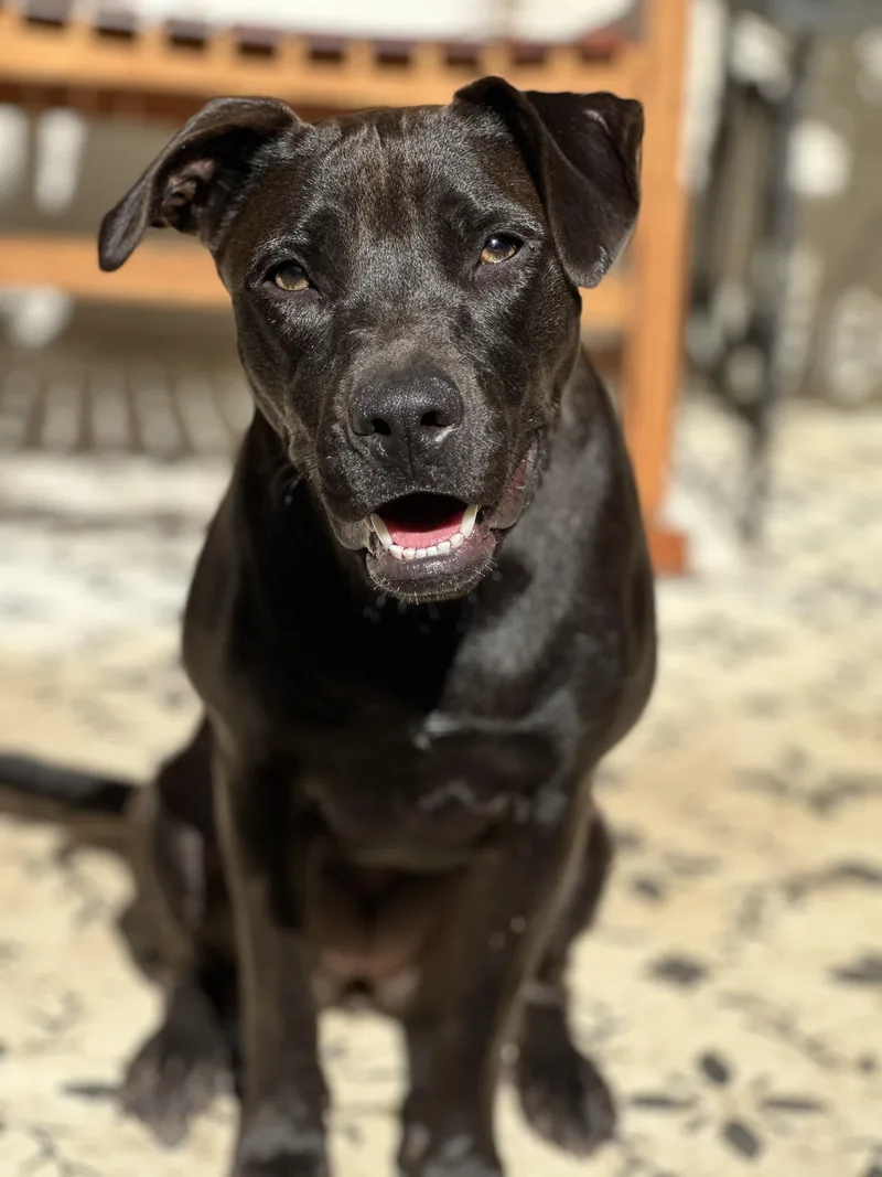 Violet The Lovergirl!!!! thumbnail 5