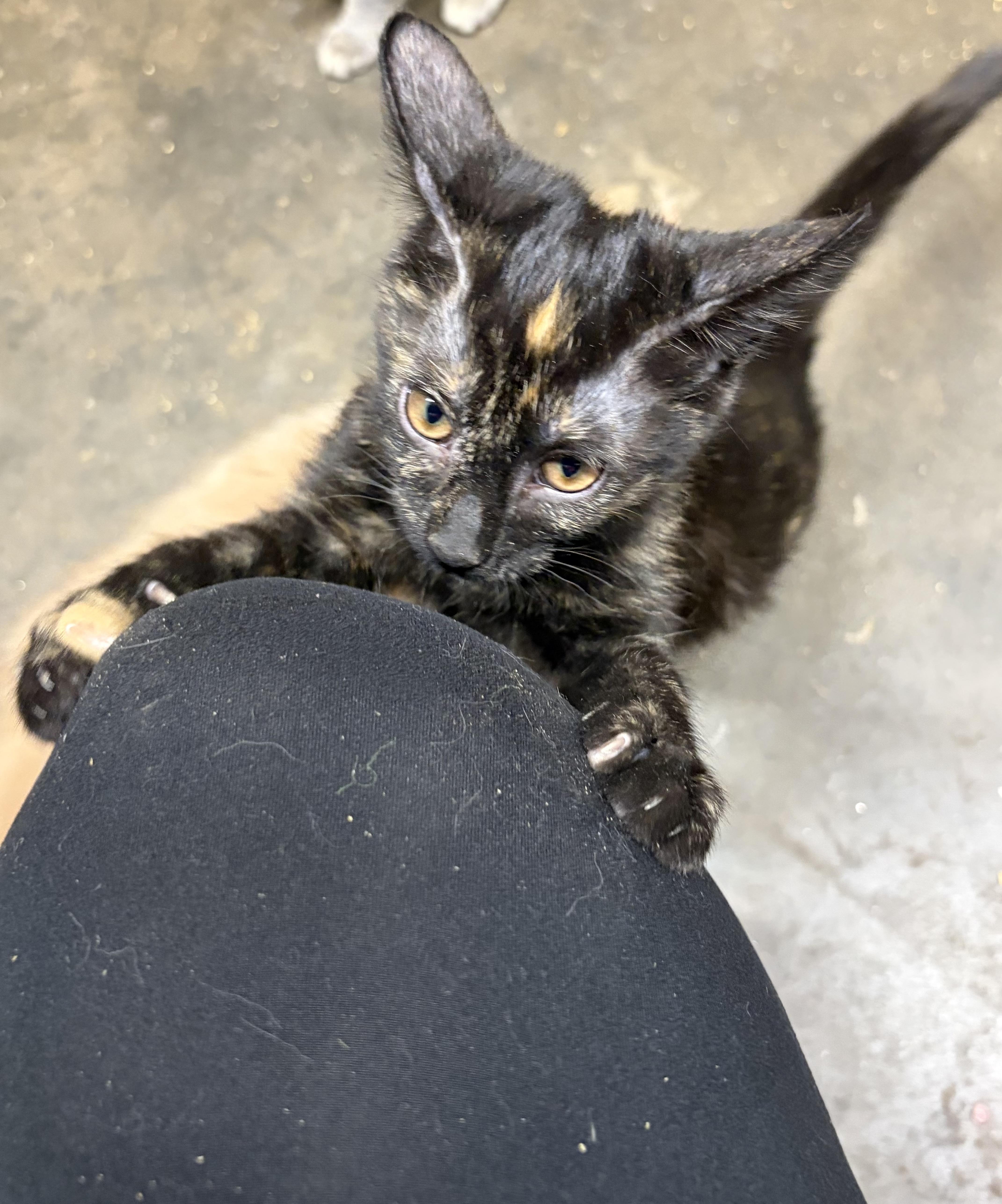 Patricia thumbnail 2
