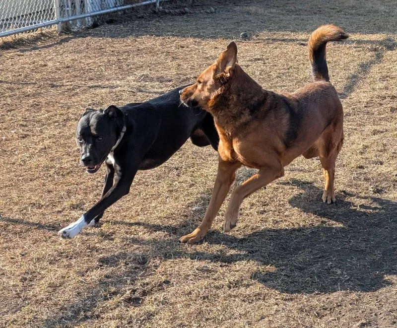 Abbie And Skylar thumbnail 3