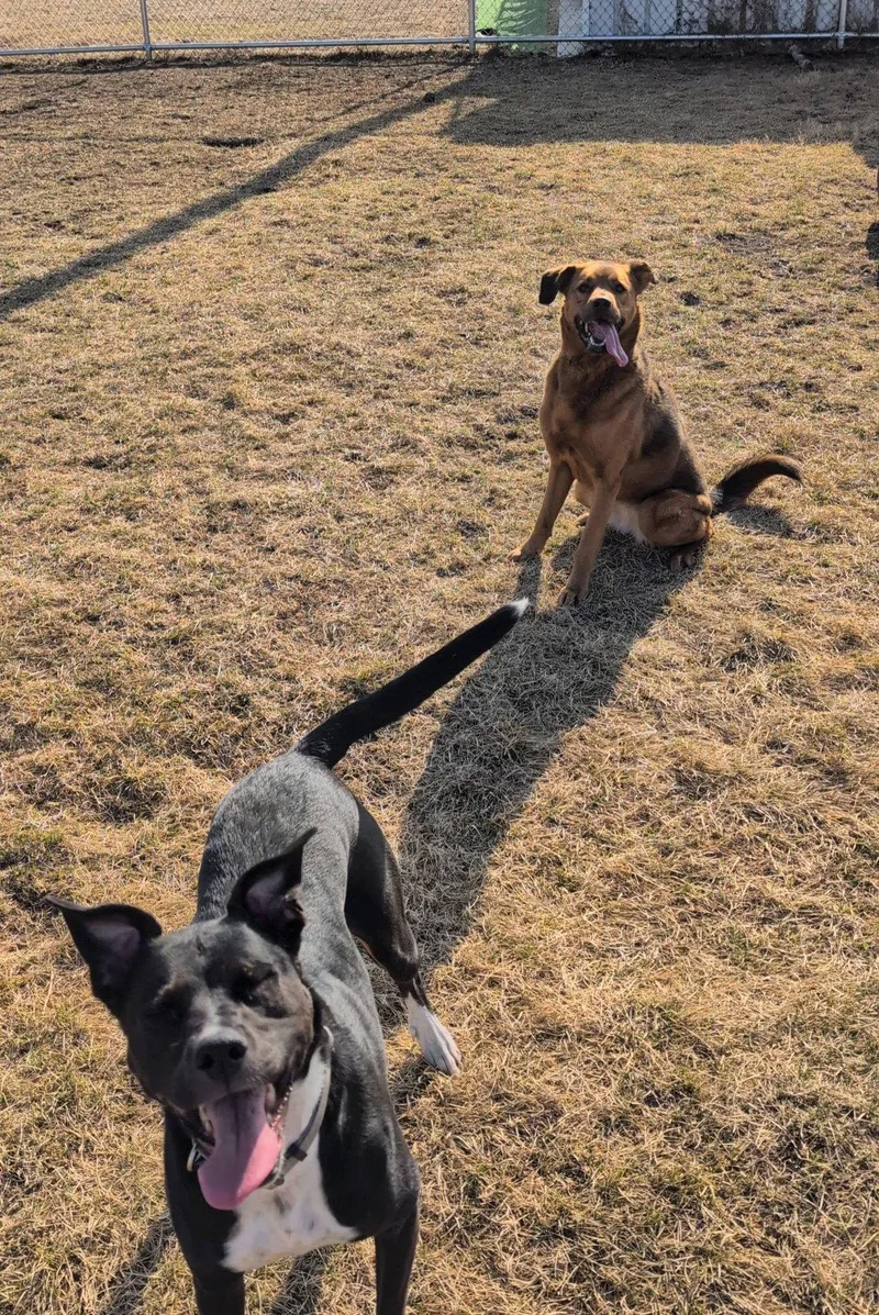Abbie And Skylar thumbnail 5