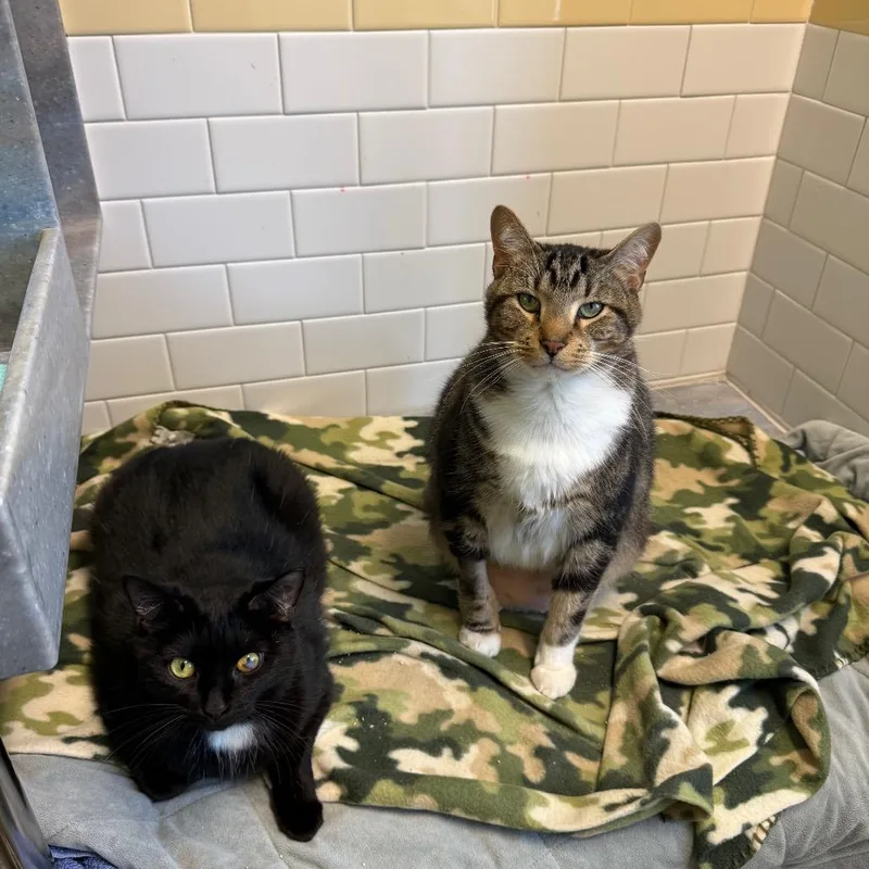Tucker And Hope thumbnail 2