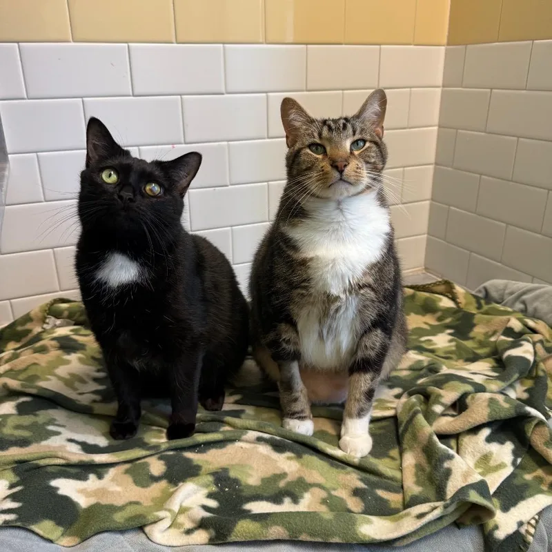Tucker And Hope thumbnail 3