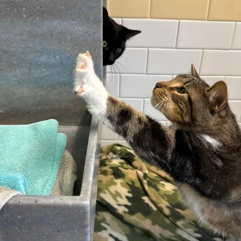 Tucker And Hope thumbnail 5