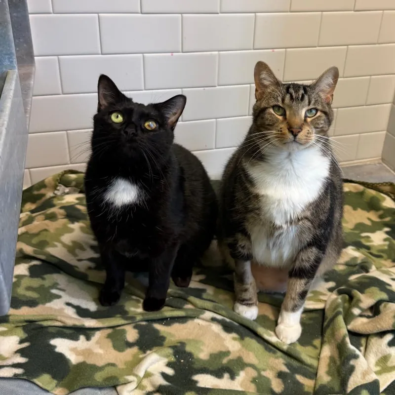 Tucker And Hope thumbnail 6