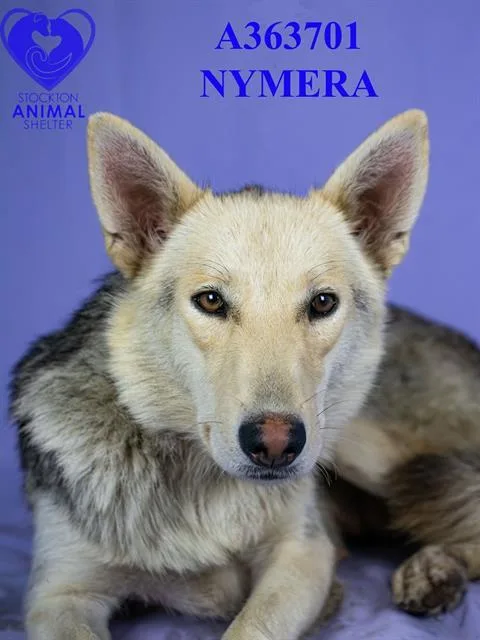 Nymeria