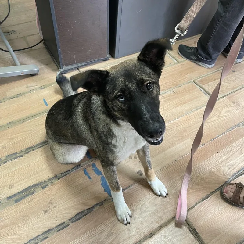 Girly Girl thumbnail 2