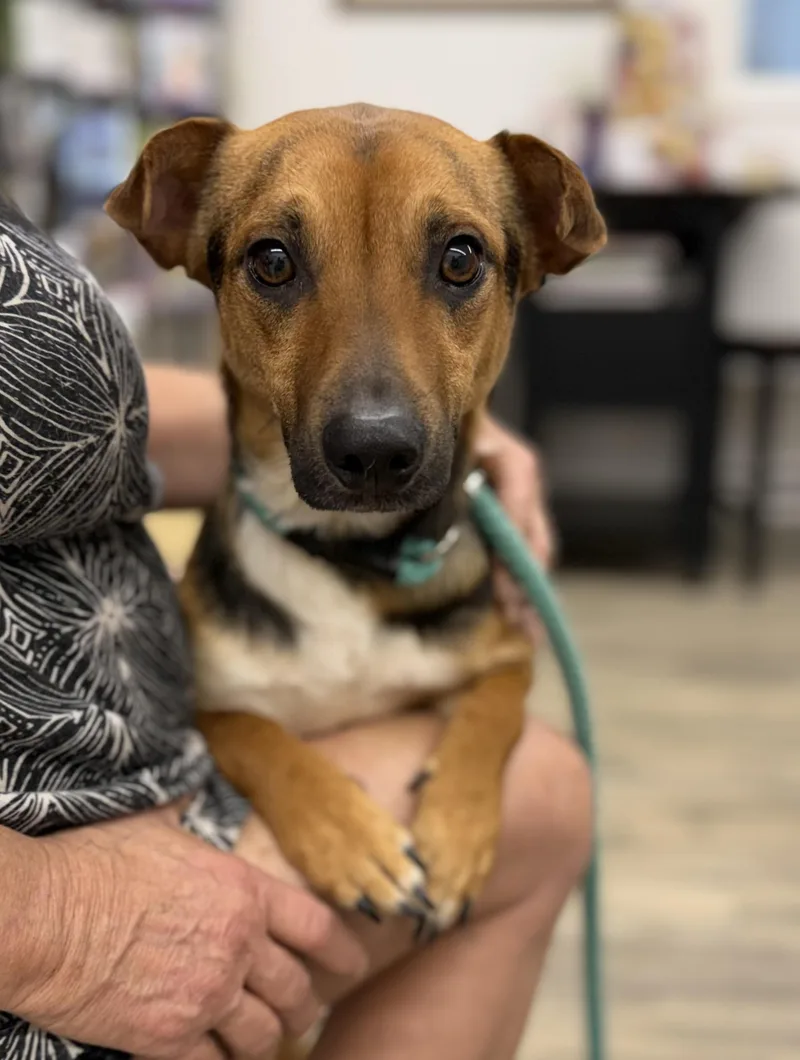 Knucklehead thumbnail 2