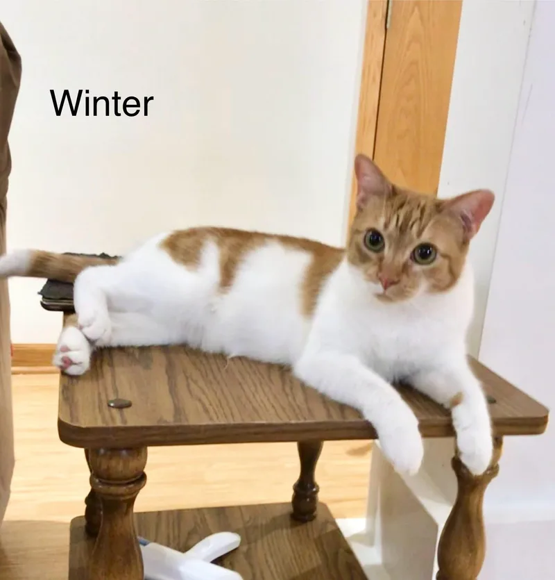 Ms Winter thumbnail 2