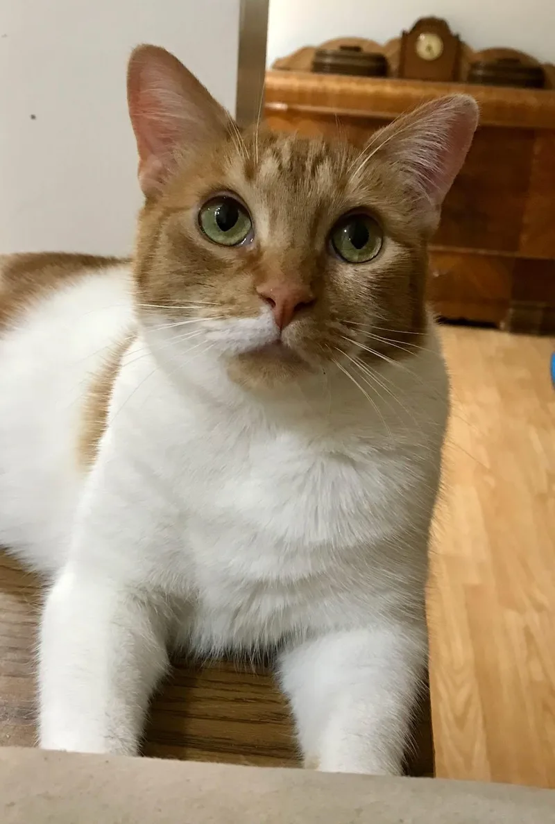 Ms Winter thumbnail 3