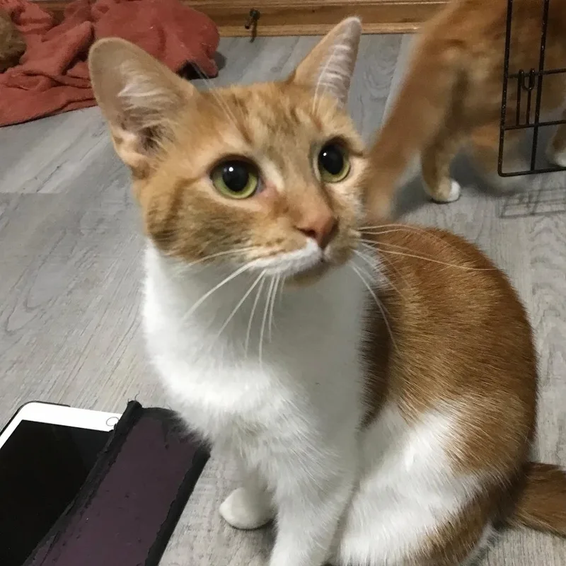 Ms Winter thumbnail 4