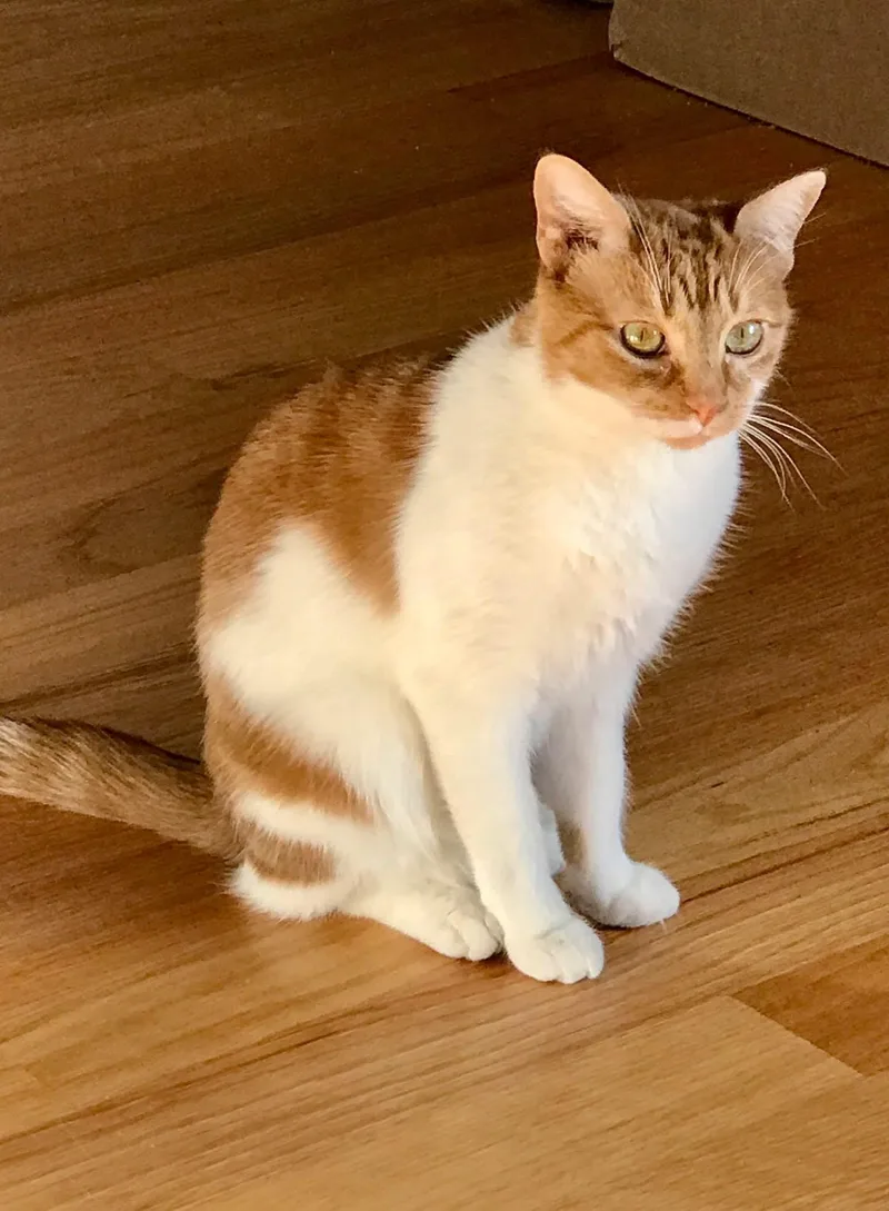 Ms Winter thumbnail 5