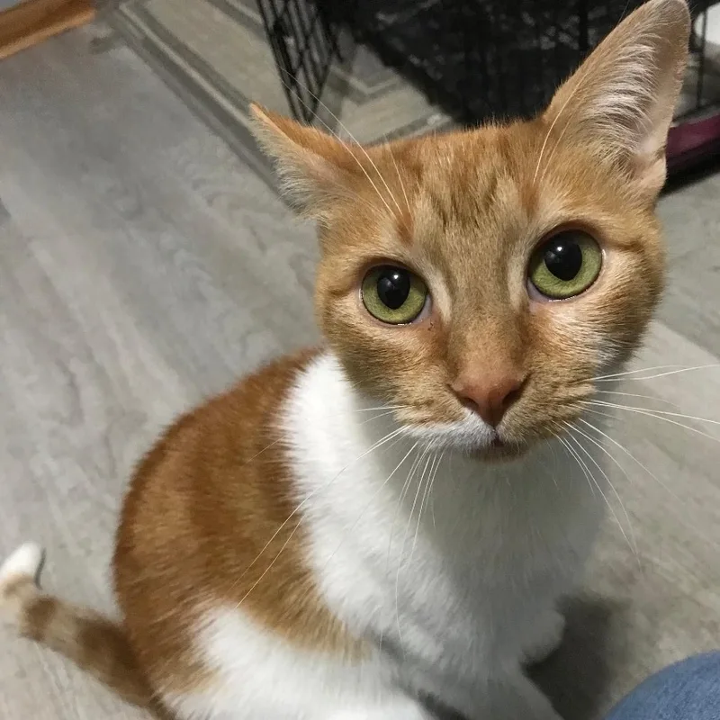 Ms Winter thumbnail 6