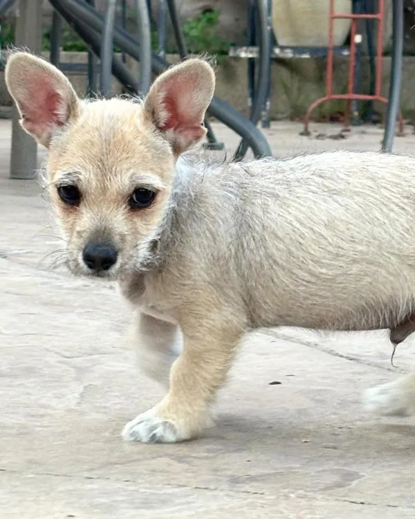 Rasputin thumbnail 4