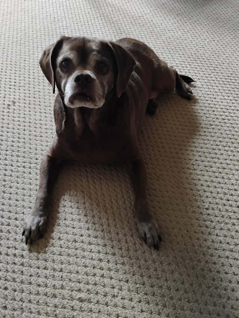 Lady Aka Ladybug  thumbnail 2