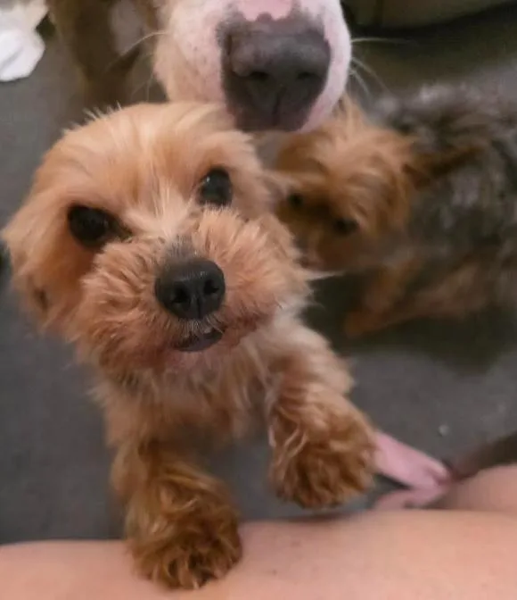 Chris