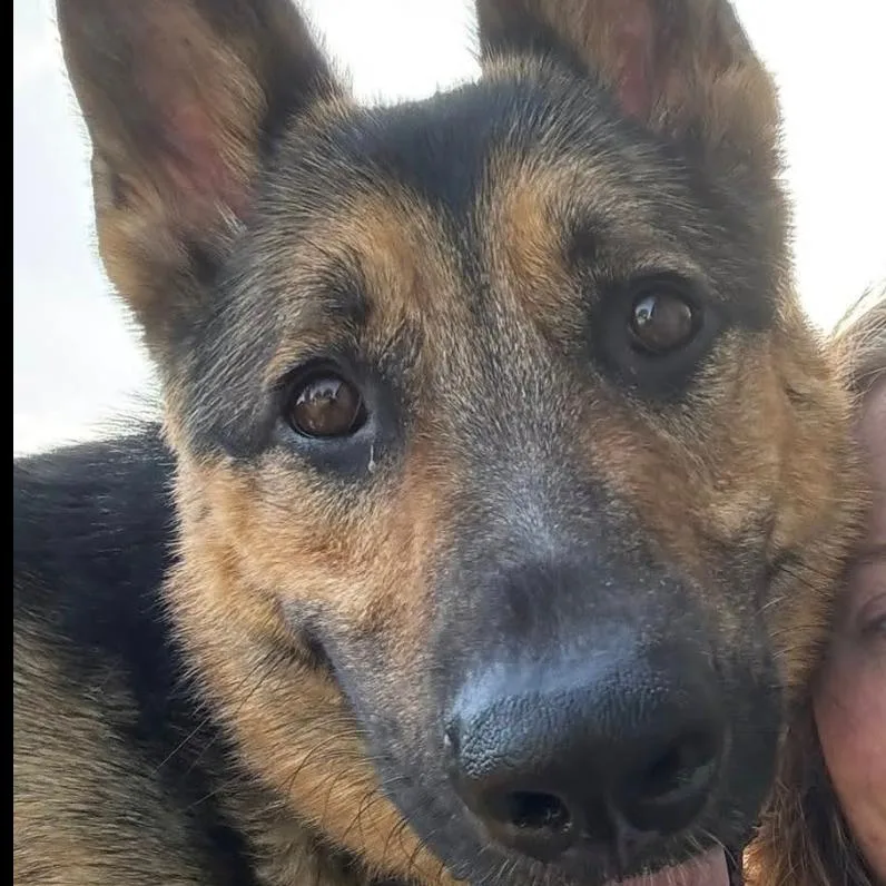 Keyser