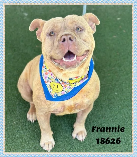 Frannie