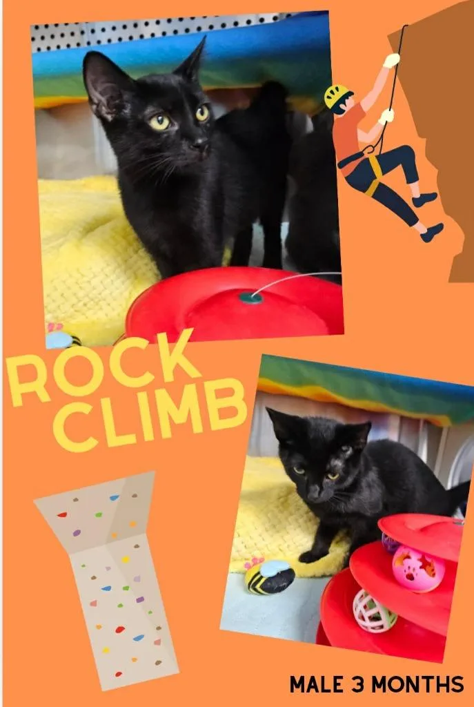Rock Climb