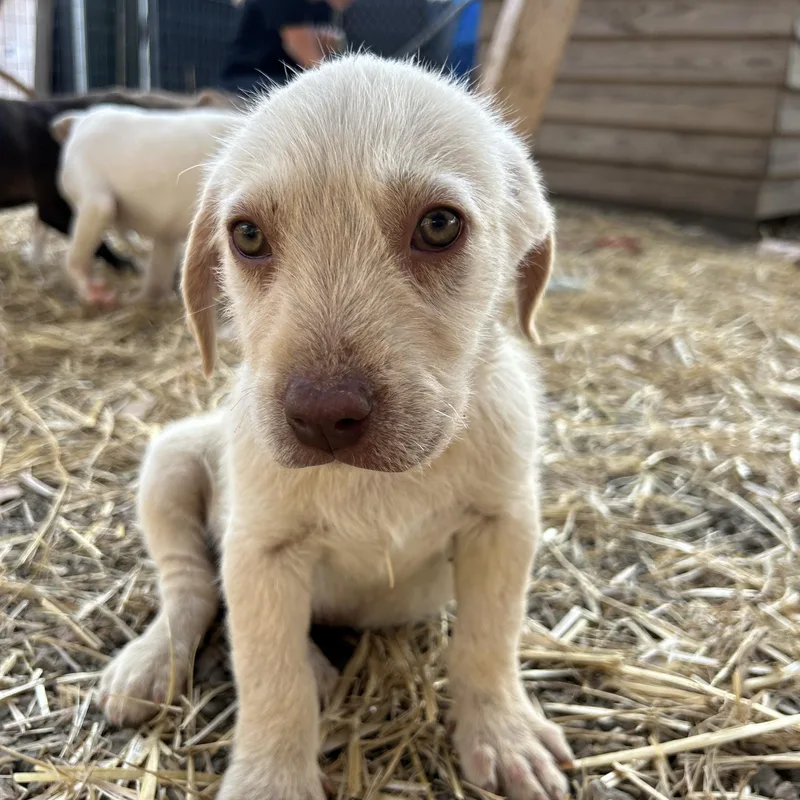 Transmission thumbnail 3