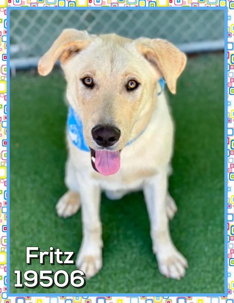 Fritz thumbnail 2
