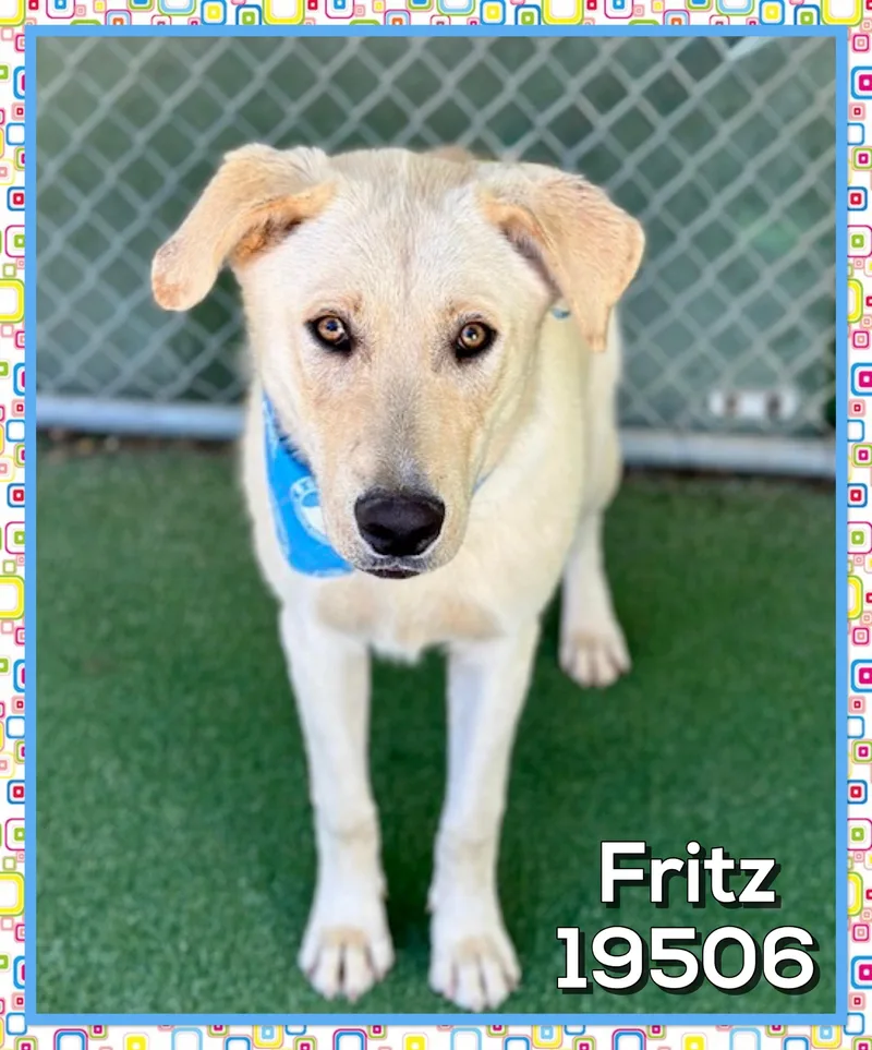 Fritz thumbnail 4