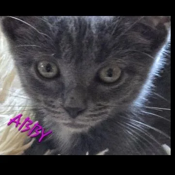 Abby thumbnail 2