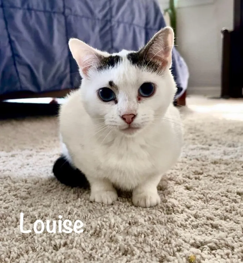 Louise