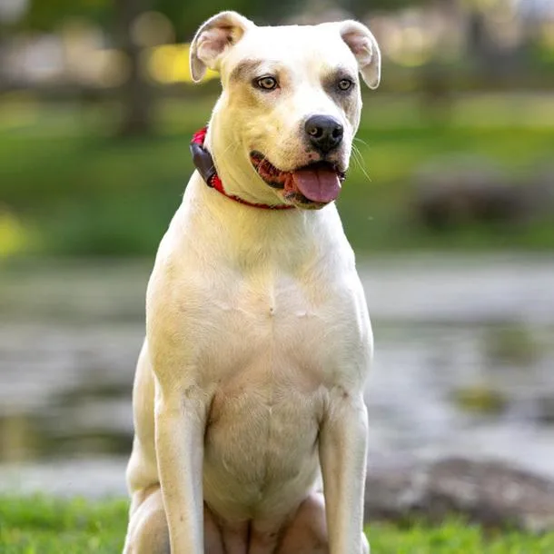 Maybelline thumbnail 2