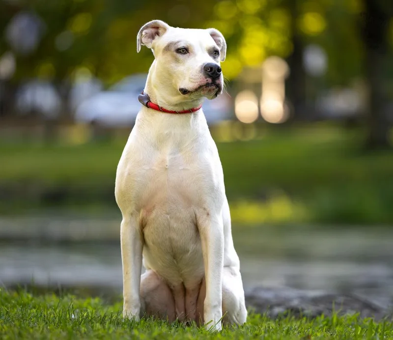 Maybelline thumbnail 3