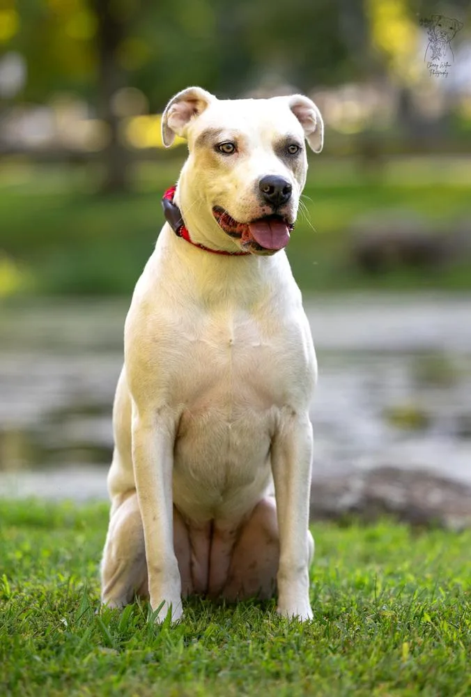 Maybelline thumbnail 4