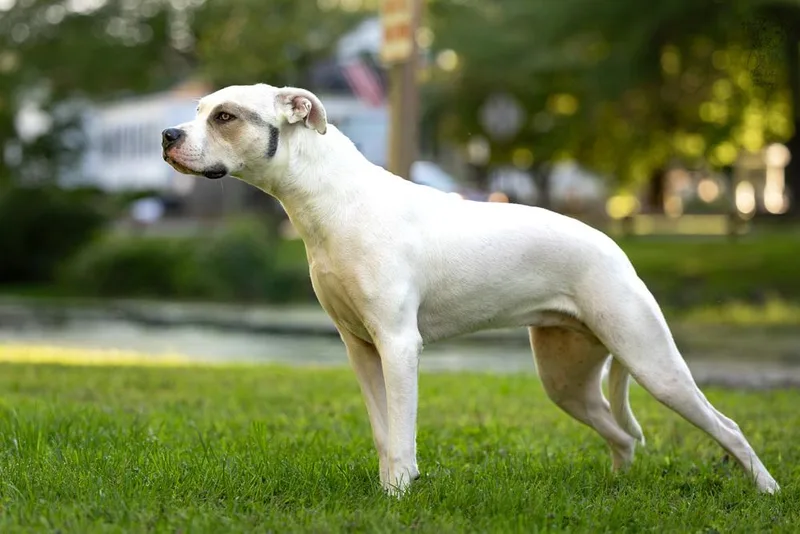 Maybelline thumbnail 5