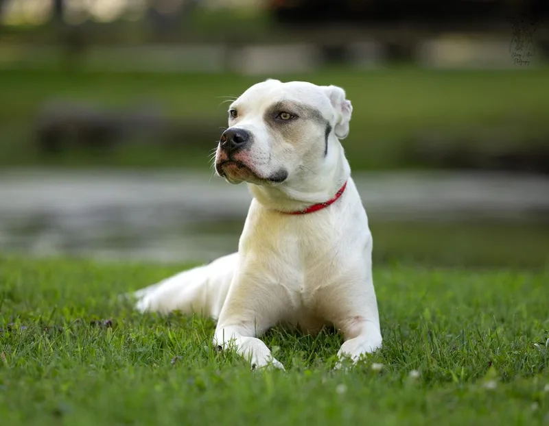 Maybelline thumbnail 6