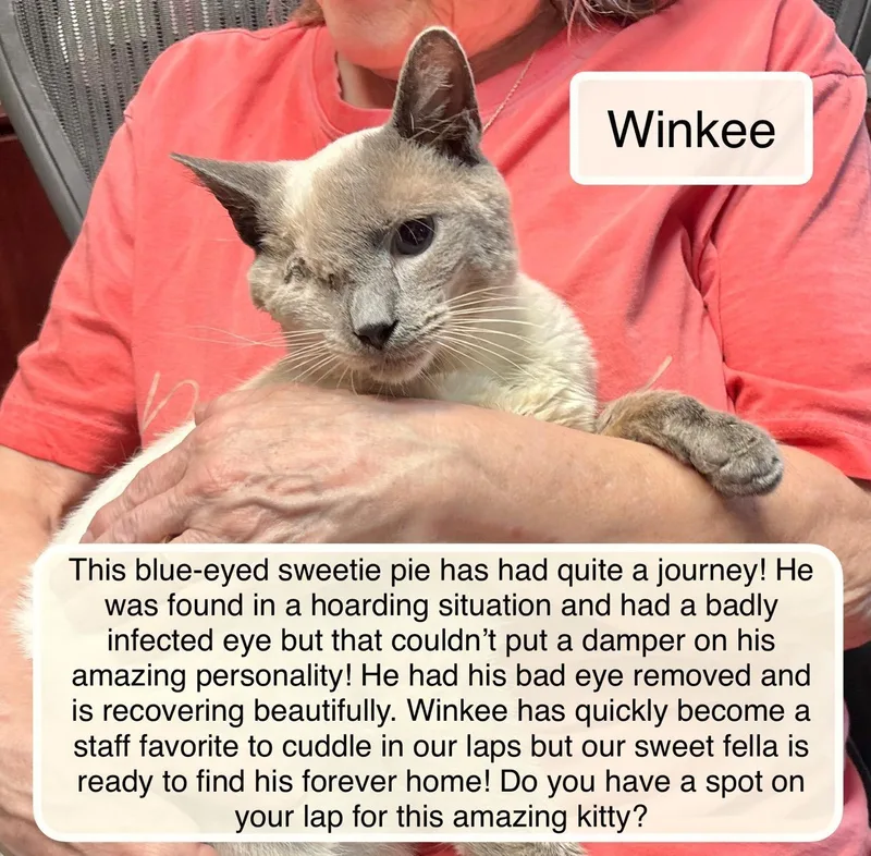 Winkie thumbnail 2