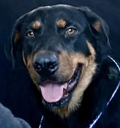 Omni Grace thumbnail 2