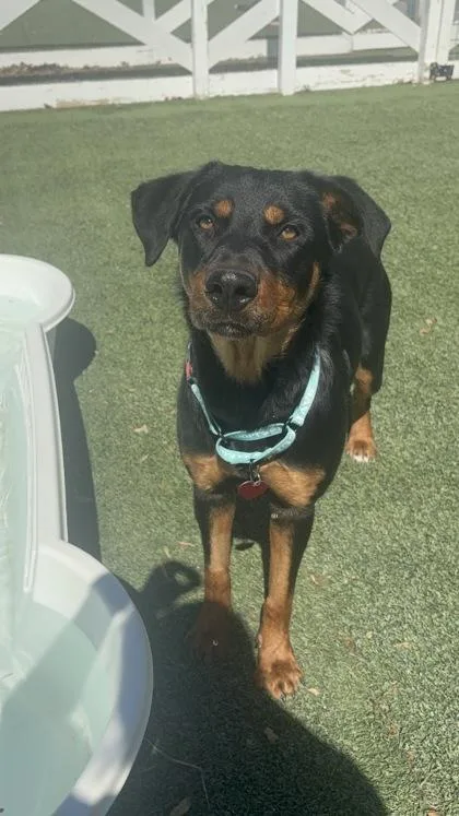 Omni Grace thumbnail 3