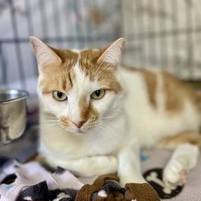 Charlotte thumbnail 2